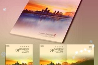 十年京東質保只換不修:大華C900PLUS1T固態(tài)硬盤379元新低