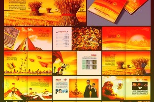 新寶股份002705公司簡評報告:全年收入增長穩(wěn)健海外表現(xiàn)優(yōu)異